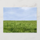 Recherche de bleu vert cartes postales Herbe