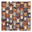 Recherche de chats colorés posters Drôle