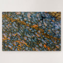 Recherche de fossile puzzles Darrell gulin