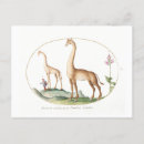 Recherche de peinture de girafe cartes postales Illustration