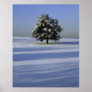 Recherche de snow covered trees posters Blue