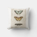 Recherche de collection de papillon Papillons