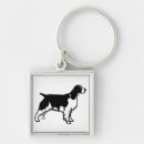 Recherche de springer spaniel porteclés Chiot