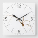 Recherche de araignées horloges Web