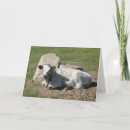Recherche de veaux vœux cartes Vache