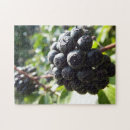 Recherche de lierre puzzles Verdure