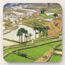 Recherche de riz dessous de verres Agriculture