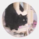 Recherche de fumeur autocollants Chat