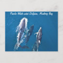 Recherche de pacifique cartes postales Blanc