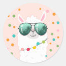 Recherche de boit le plateau Plateau de cupcake