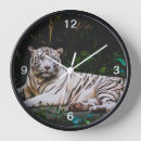 Recherche de tigres horloges Faune