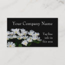 Recherche de marguerites cartes visite Fleuriste
