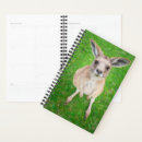 Recherche de joey bureau fournitures Kangourou