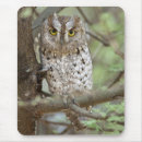 Recherche de petit hibou tapis souris Animal