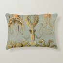 Zoek naar squid kussens Oceaan