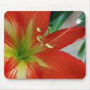 Recherche de feuille vert tapis souris Macro