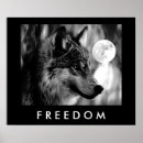 Recherche de lune loup posters Esprit de loup