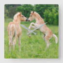 Recherche de colt horloges Mignon