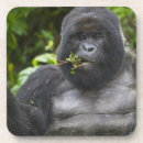 Recherche de gorille dessous de verres Singe