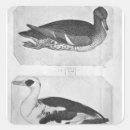 Recherche de pisanello autocollants Oiseau