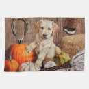 Recherche de labrador retriever cuisine linges Dog