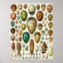 Recherche de adolphe millot posters Science