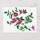 Recherche de fleurs de cottage cartes postales Romantique