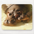 Recherche de hippopotame mignon tapis souris Adorable