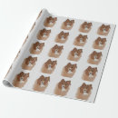 Recherche de sheltie papier cadeau Chiot