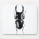 Recherche de scarabées tapis souris Noir