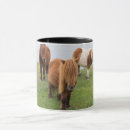 Recherche de poney shetland tasses Ferme