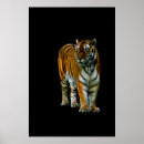 Zoek naar oranje katten posters For him