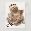 Recherche de traces cartes postales Animal
