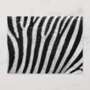 Recherche de zèbre noir blanc cartes postales Rayures