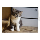 Recherche de tigre blanc vœux cartes Adorable