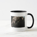 Recherche de chien fatigué tasses Sommeil