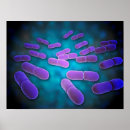 Recherche de microbiology posters Microscopic