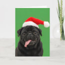 Zoek naar grappige pugs kaarten Schattige puppy