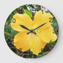Zoek naar gele bloem klokken Hibiscus