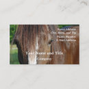 Recherche de jument cheval cartes visite Juments