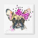 Recherche de french bulldog magnete Puppy