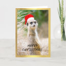 Zoek naar meerkats kaarten Vrolijk