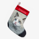 Recherche de chat noir chaussette de noël Nom