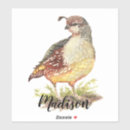 Recherche de caille autocollants Nature