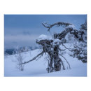 Recherche de alien posters Nature