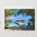 Recherche de maldives vœux cartes Photographe