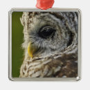 Recherche de chouette ornements Hibou