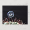 Recherche de savonnerie cartes postales Bulle de savon