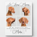 Recherche de chien plaques Blanc