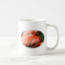 Recherche de plumes roses tasses Animal
